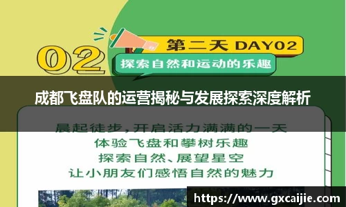 成都飞盘队的运营揭秘与发展探索深度解析